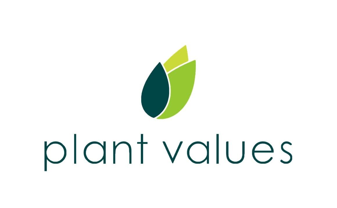 plant values | Nachhaltigkeitsberatung fr Zukunftsfhigkeit