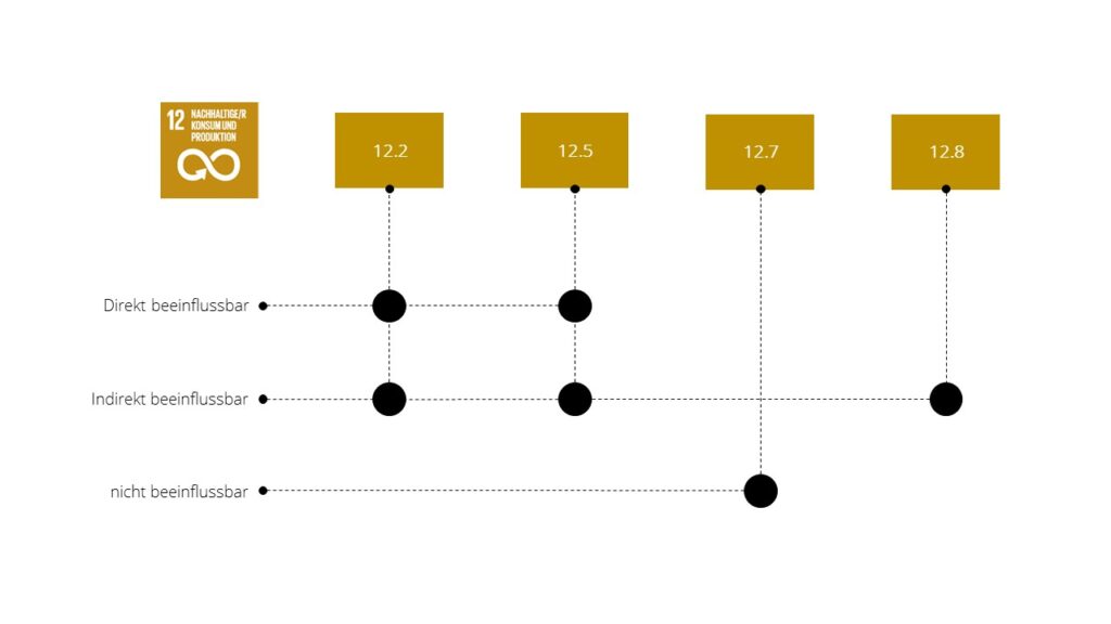 SDGs für Wesentlichkeit in einer Beispielmatrix zum SDG 12