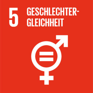 Wir reden über SDGs und wie die zur Impact-Bestimmung von Unternehmen beitragen können
