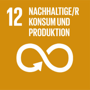 Nachhaltiger Konsum und nachhaltige Produktion: SDG12