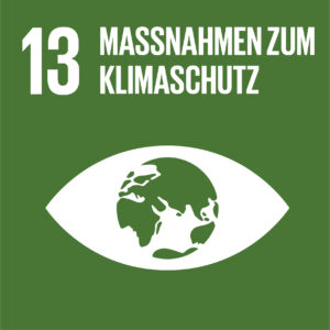 Klimaschutz im Fokus: SDG13