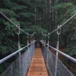 Brücke mit Stahlkonstruktion