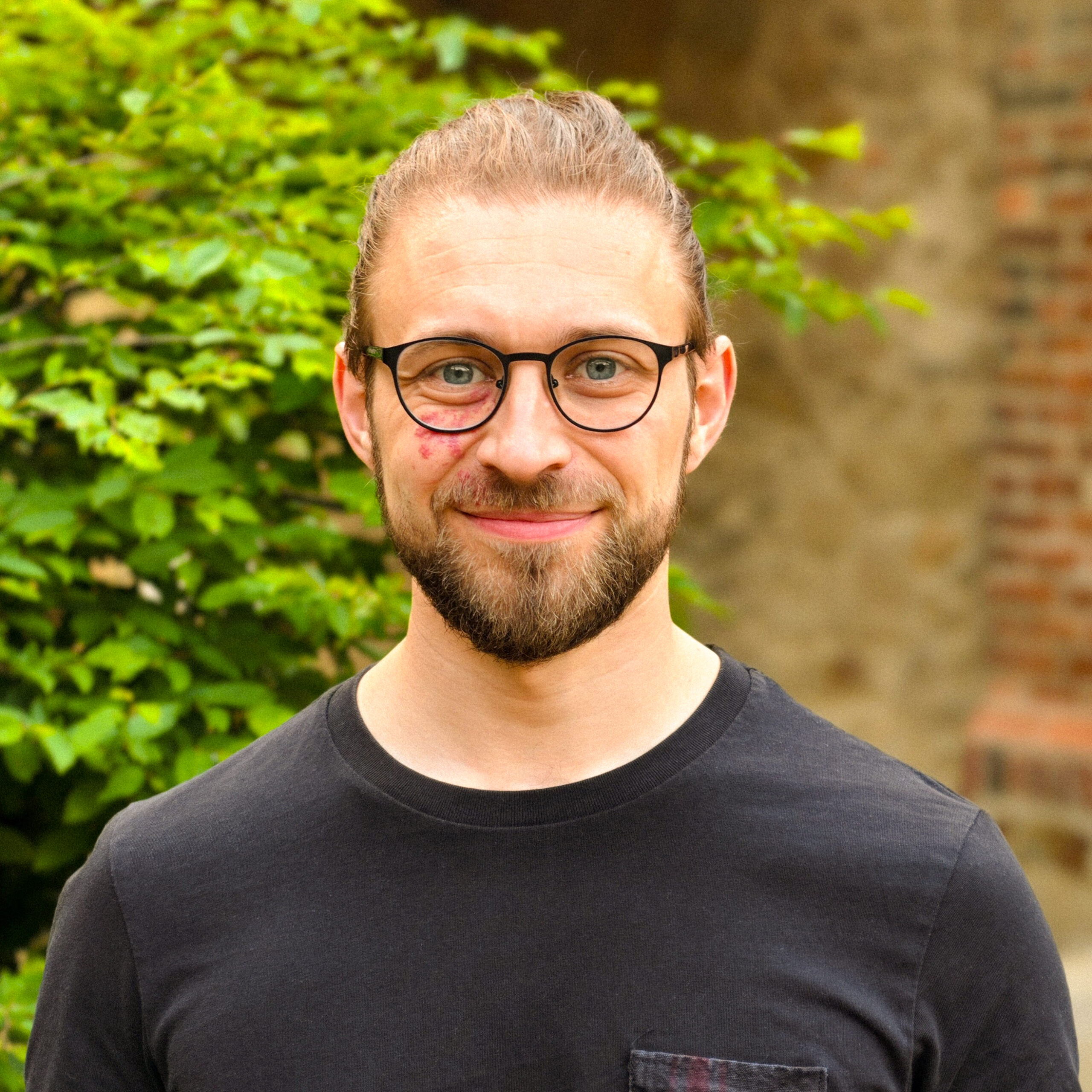 Steve Profil