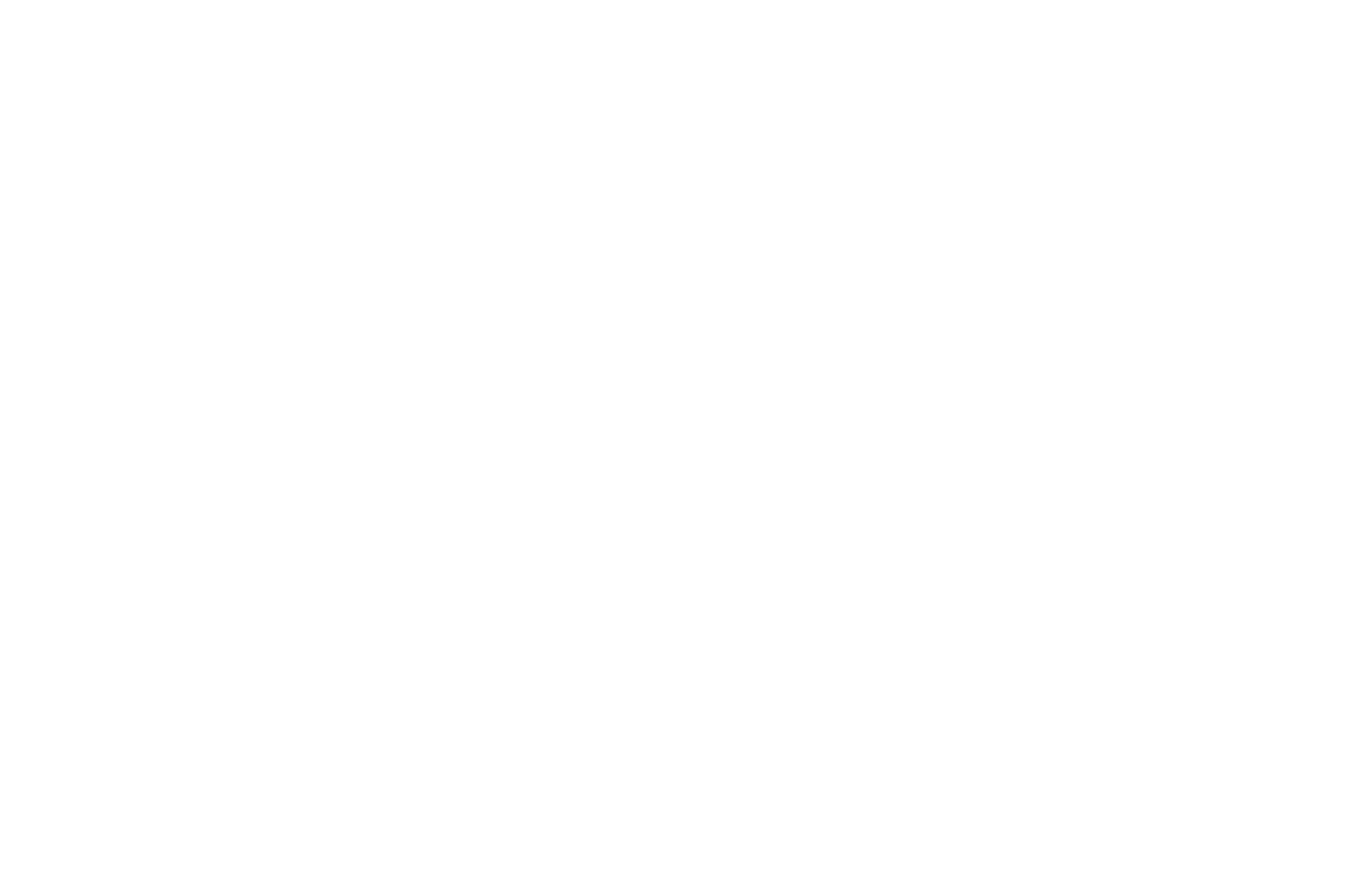 plant values – Nachhaltigkeitsberatung (Startseite)