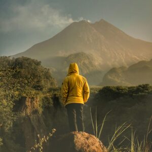 Coaching for Sustainability Professionals